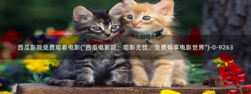 西瓜影院功夫熊猫4