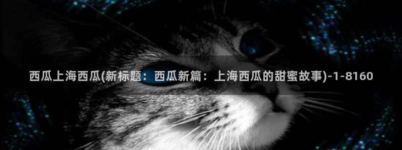 伪装者免费观看完整版西瓜影院