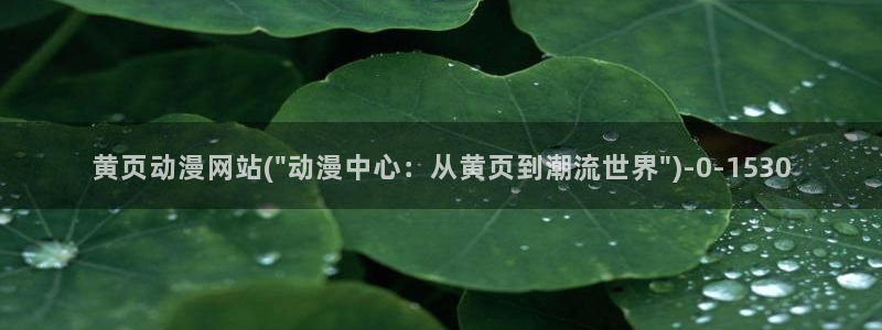 稀饭动漫
